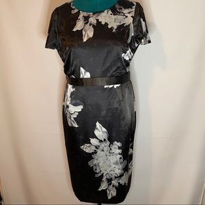 Tahari Beautiful Dress